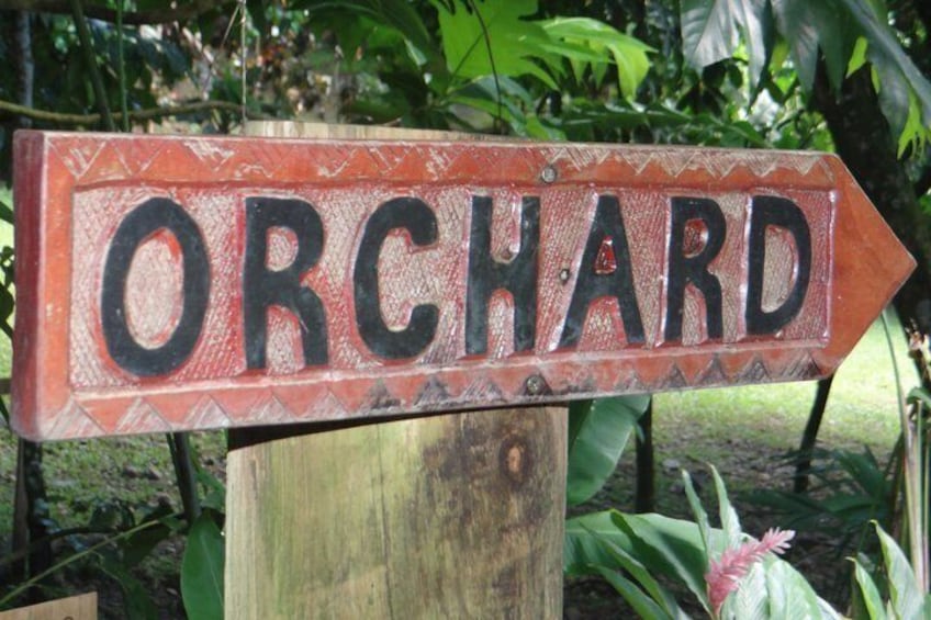 Nadi Fiji Nature Culture and Beach Experience 3