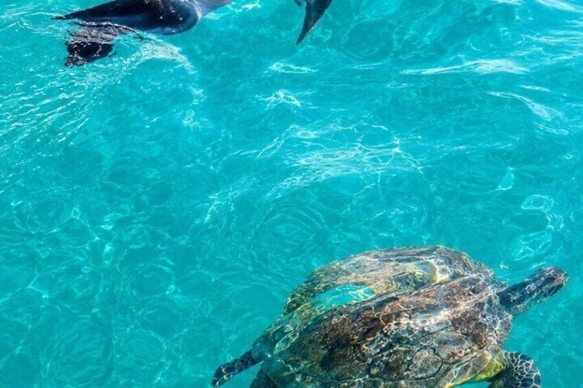 San Cristobal Bahia Tour with Snorkeling 2
