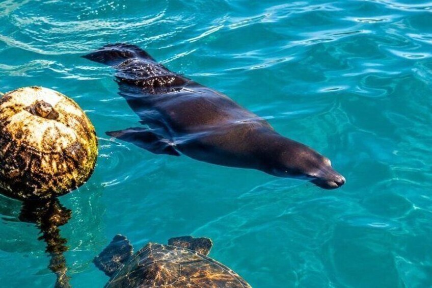 San Cristobal Bahia Tour with Snorkeling 3