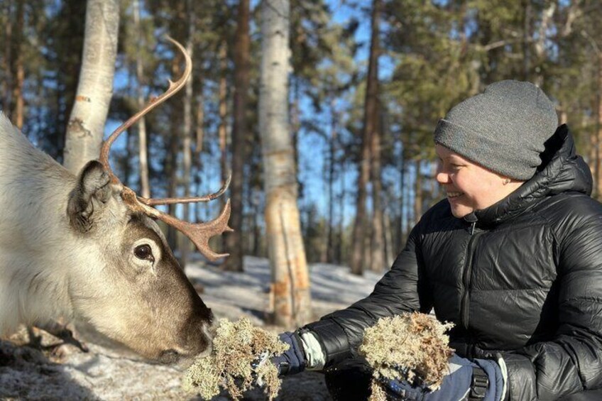 Jokkmokk: Reindeer Feeding Experience with Sami Guide 4