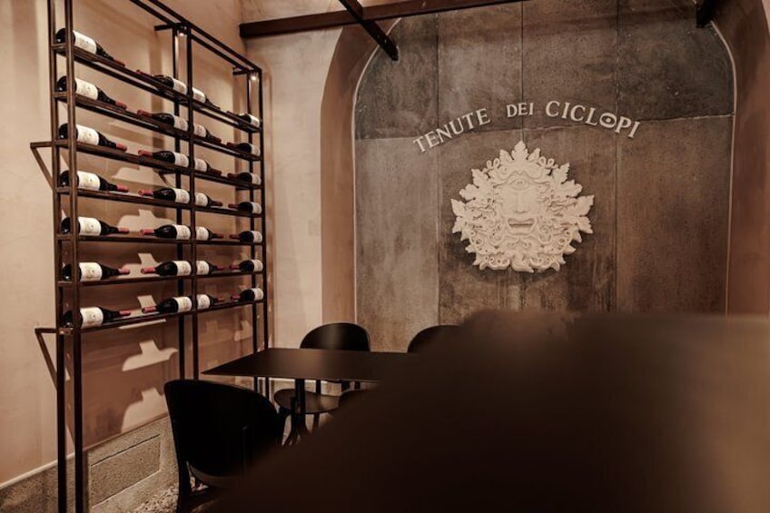 Tenute Dei ciclopi Etna wine tasting, in Catania City Center 2