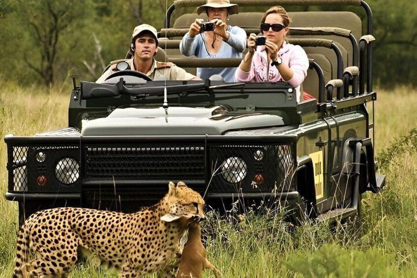 A safari vehicle with passengers observing wildlife, including a cheetah and a deer, in a grassy field. 1