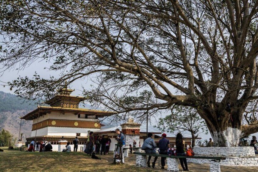 A traditional building with a large tree in front, people gathered around, and a mountainous backdrop. 1