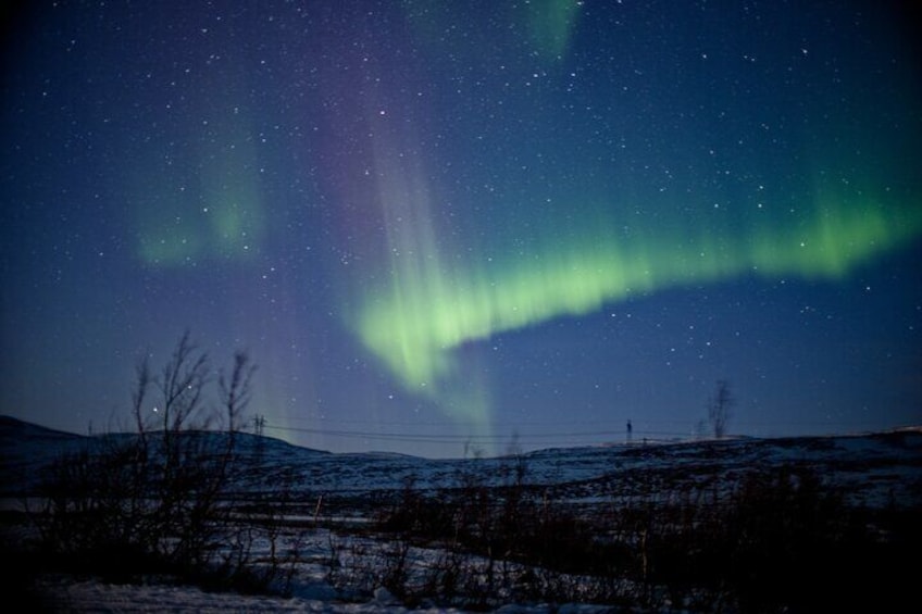 Auroras boreales sobre un paisaje nevado con árboles desnudos y líneas eléctricas. 5