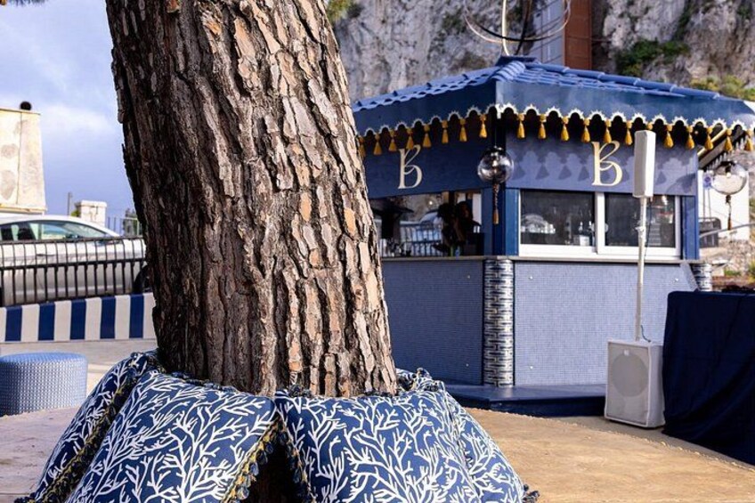 A tree, a patterned bench, and a small blue and white building with the letter 'B' on it. 2