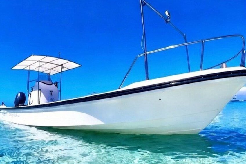 A white boat with a black stripe, a canopy, and a motor on the back. 2
