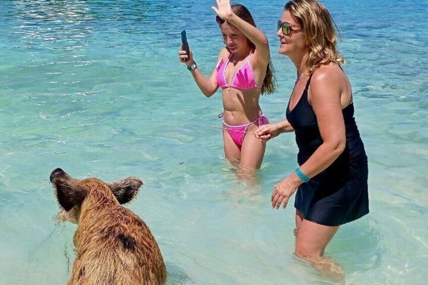 Path to Paradise: Bahamas Swimming Pigs Adventure 2