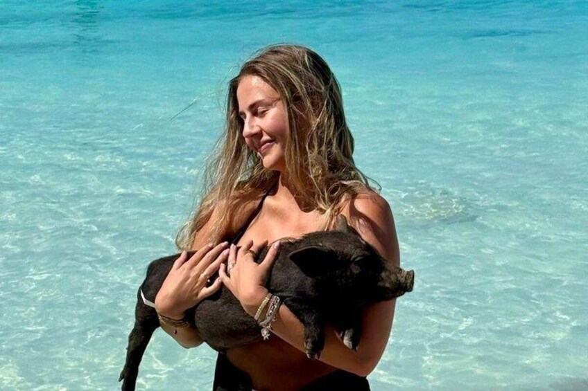 Path to Paradise: Bahamas Swimming Pigs Adventure 3