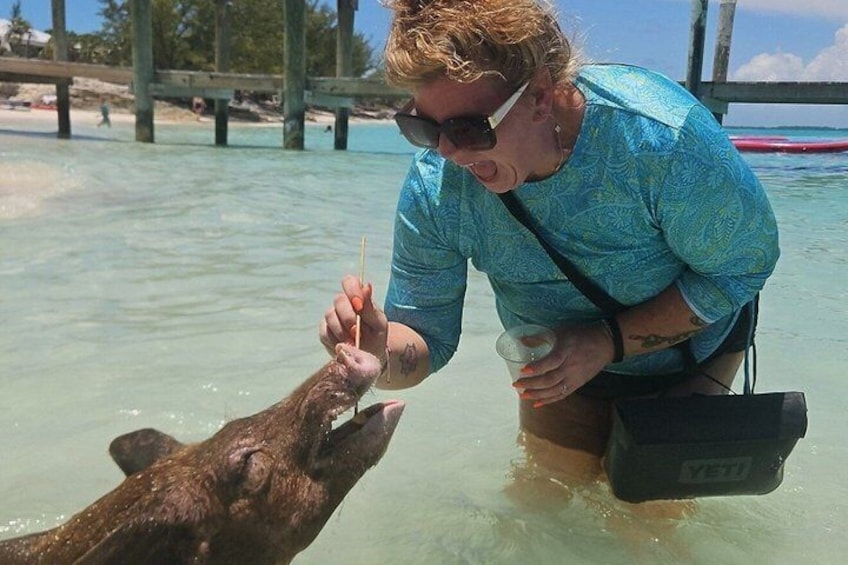 Path to Paradise Bahamas Swimming Pigs Adventure 2