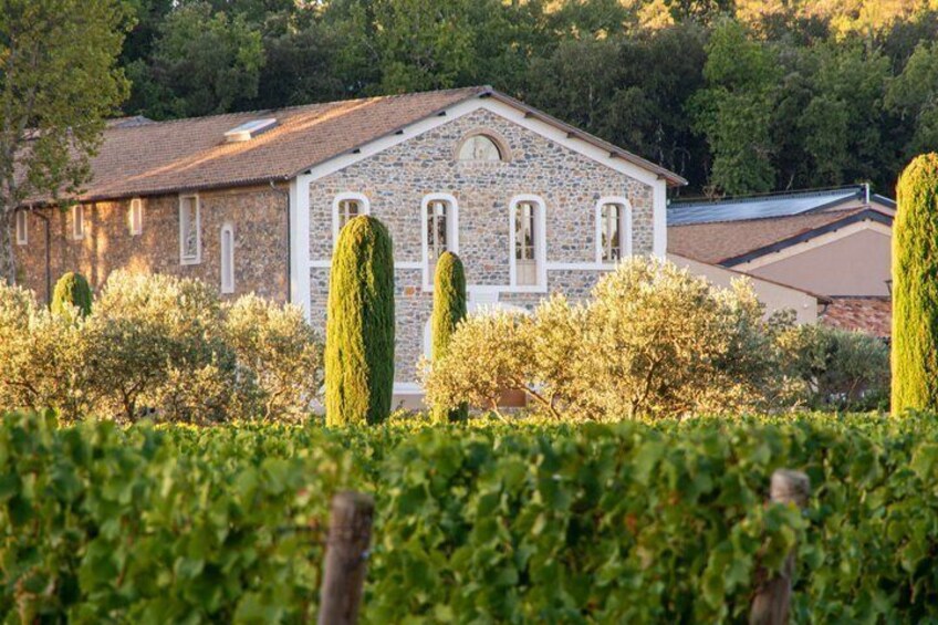 Visit of one of the most modern cellars in Provence 1