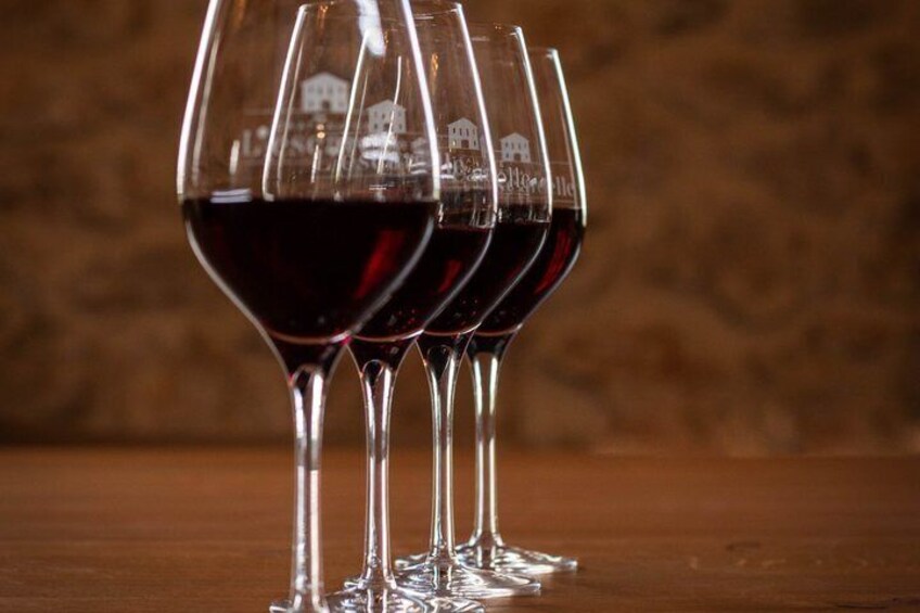Visit of one of the most modern cellars in Provence 2