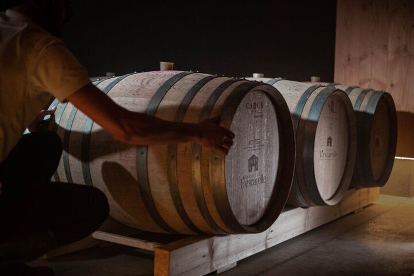 Visit of one of the most modern cellars in Provence 4