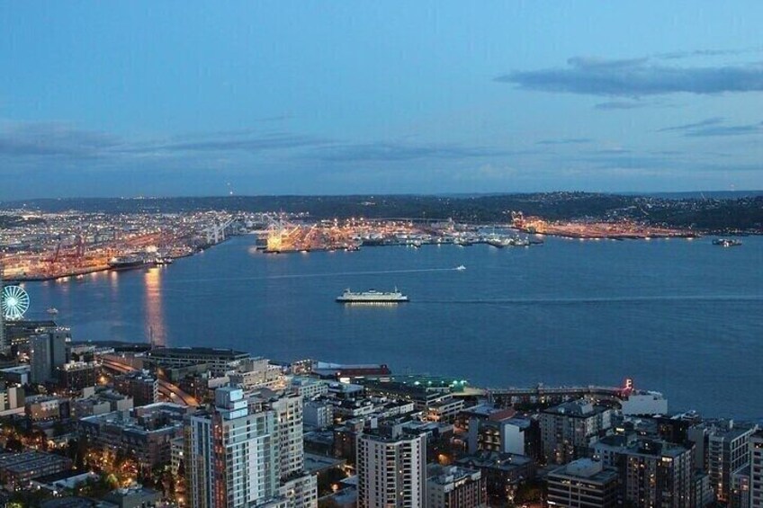 From Seattle: Pre or Post Cruise Private Tour with Sightseeing 4