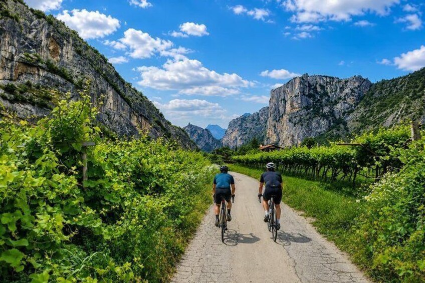 Riva del Garda E-Bike Tour between Varon Arco and Sarca 5