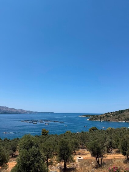 Tirana, Durrës & Golem: Porto Palermo Castle & Himarë Tour 1