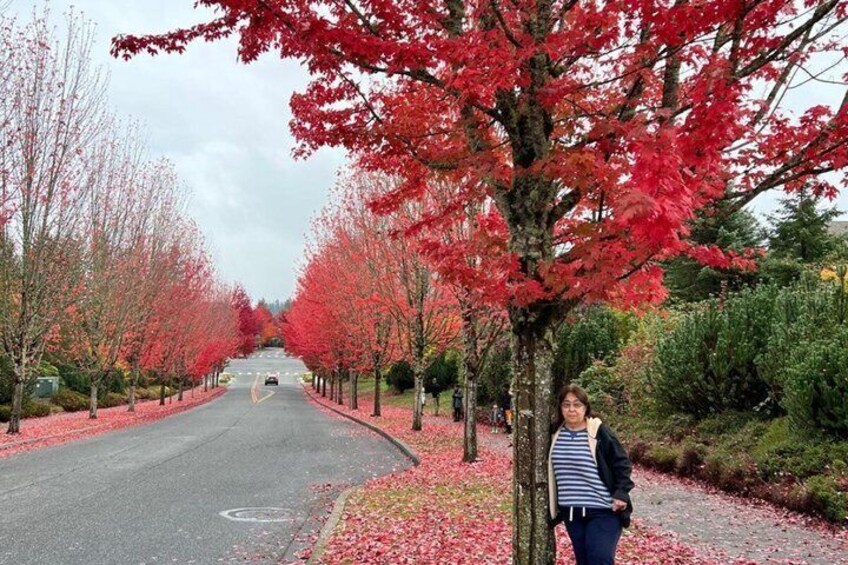From Seattle to Snoqualmie Falls Private Tour 2