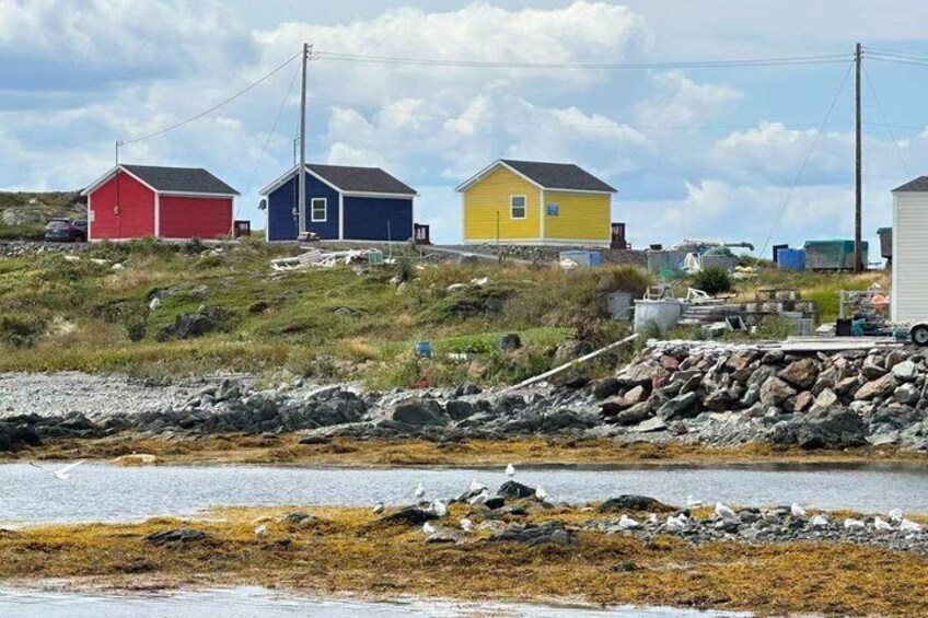 7 Days East Canada and Maritime Provinces Tour 5