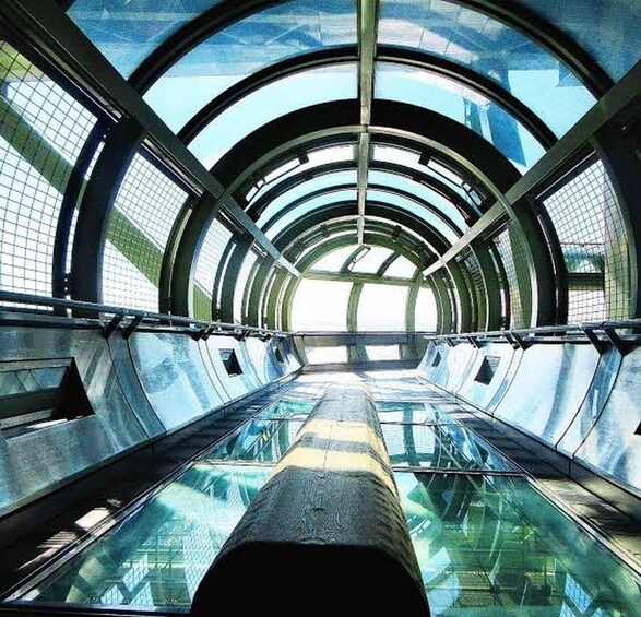 A modern architectural structure with a glass and metal design, featuring a central corridor and circular skylights. 1