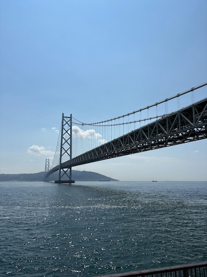 A large suspension bridge spanning a body of water with a distant landmass. 5