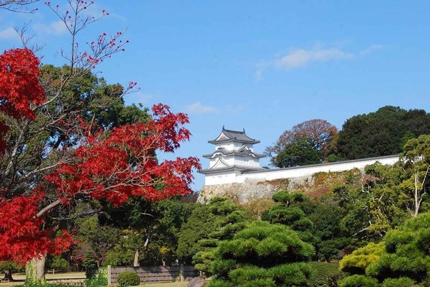 A traditional Japanese pagoda with red foliage in the foreground. 3