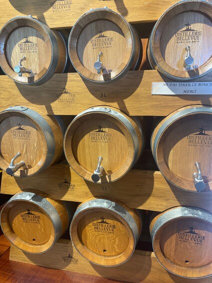 Picture 3 for Activity Guadeloupe: Immersion in the heart of sugar cane and rum tasting 3