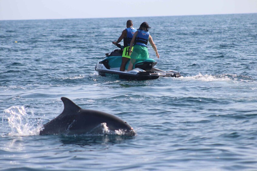 Two people on a jet ski, a dolphin in the water, and a clear blue sky. 2