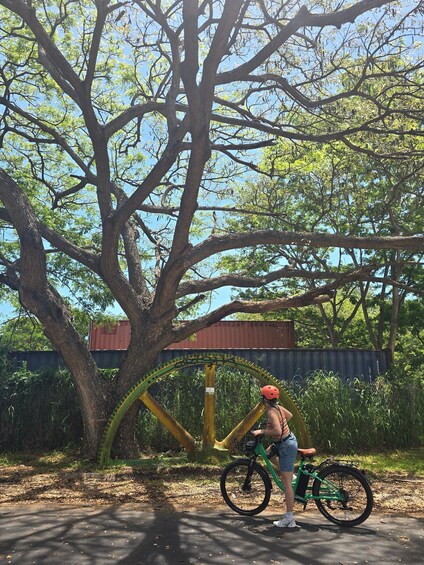 Picture 11 for Activity Guadeloupe: Ride to discover Le Moule by electric bike 3