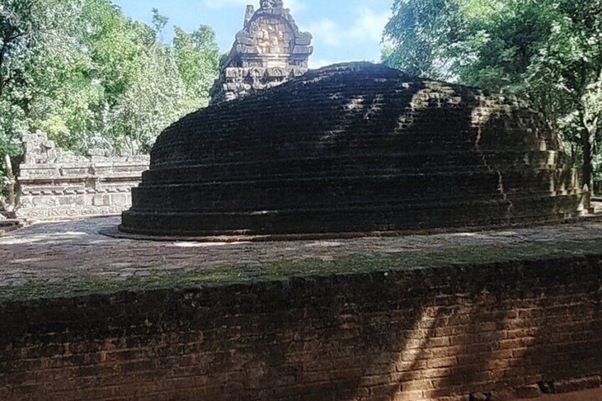 Kandy to Sigiriya Full Day Tour Culture Nature and Adventure 5