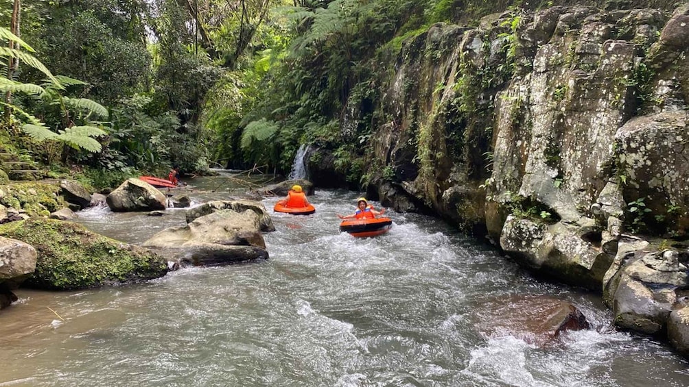 Un río con rápidos, rodeado de rocas y vegetación. 3