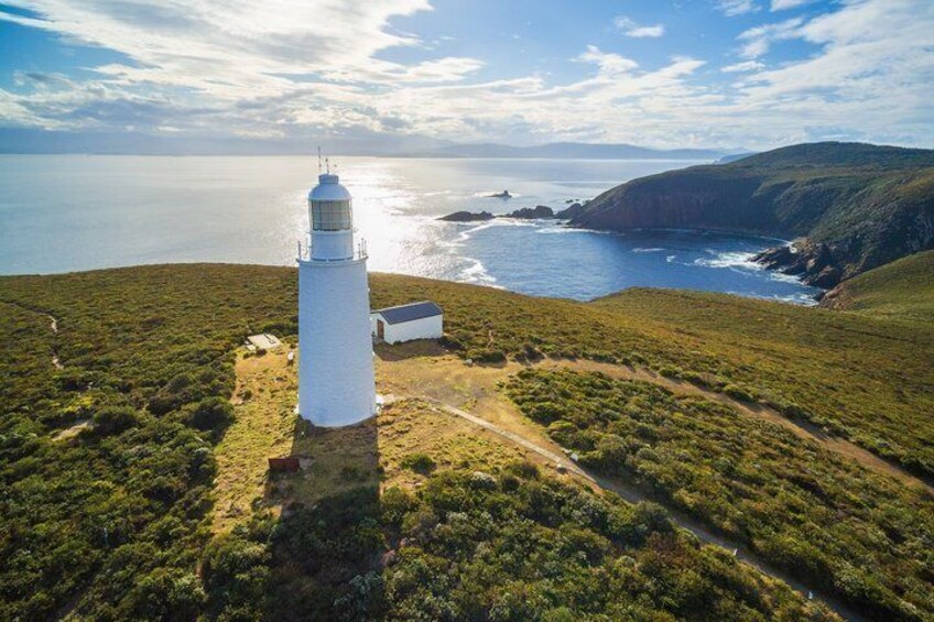 Bruny Island Adventure – Private Shore Tour from Hobart Port 1