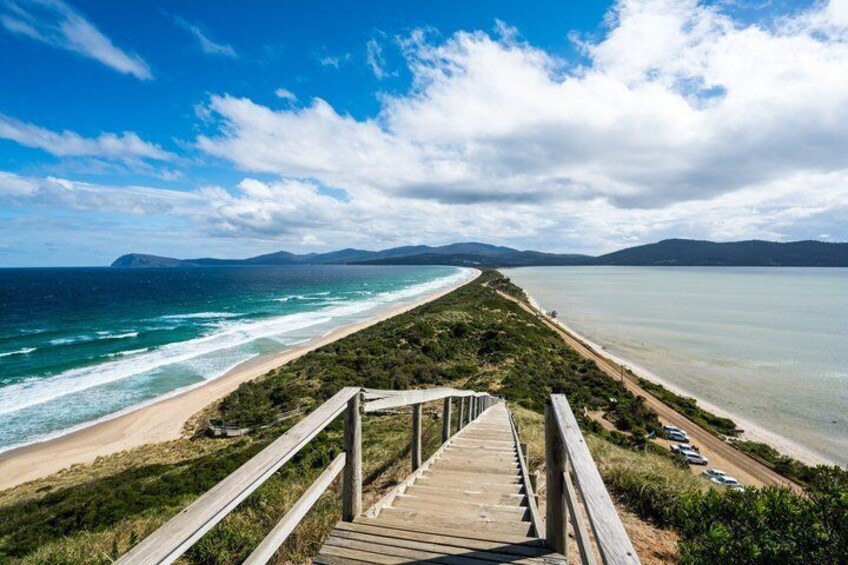 Bruny Island Adventure – Private Shore Tour from Hobart Port 3