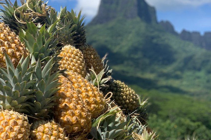 A pile of pineapples with a mountainous landscape in the background. 2