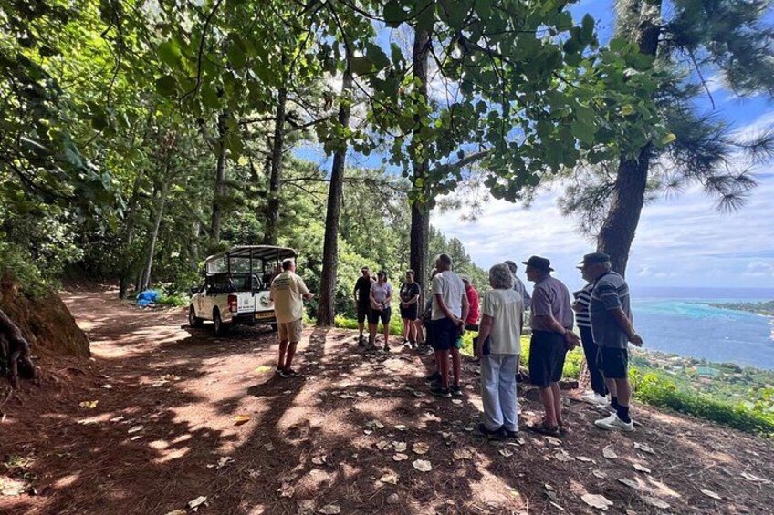 Moorea 4WD Tour: Magic Mountain, Belvedere, Pineapple Road & More 2