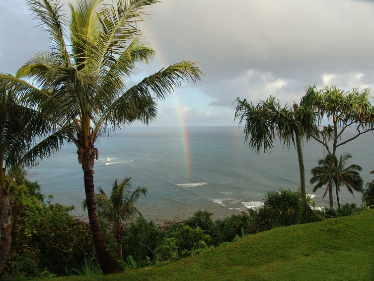A beach with palm trees and a rainbow over the ocean. 2