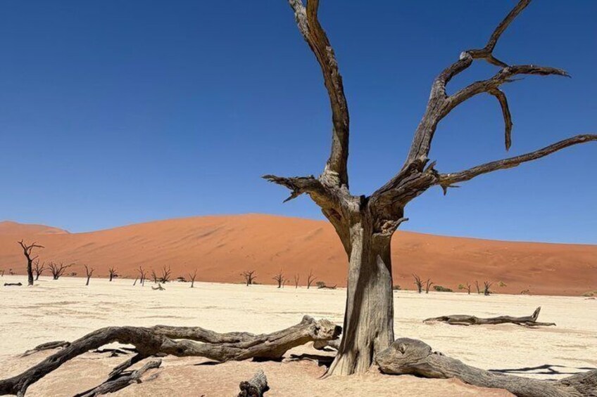 Sossusvlei All Inclusive 3 Day Luxury Adventure 1