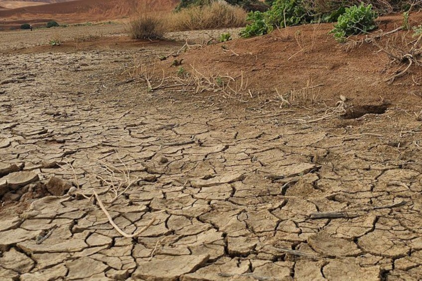 A dry, cracked earth surface with sparse vegetation. 5