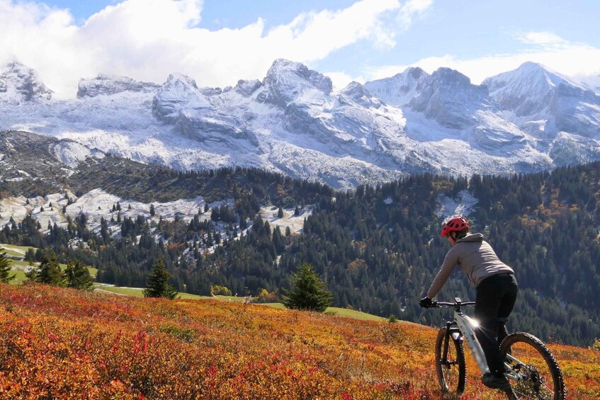 “Big Five” Instagram Safari in the Annecy Mountains by E-Bike/Electric Mountain Bike 1