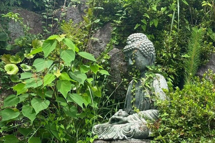 eBike Tour: Beppu's Secret Hells & Hot Spring Wonders 5