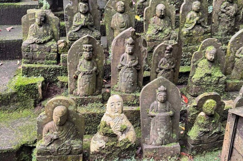 Beppu Secret Hells and Hot Spring Wonders eBike Tour 3