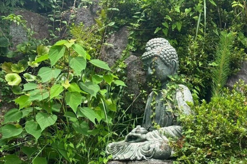 Beppu Secret Hells and Hot Spring Wonders eBike Tour 5