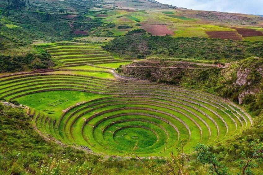 Terraced agricultural fields in a hilly landscape. 4
