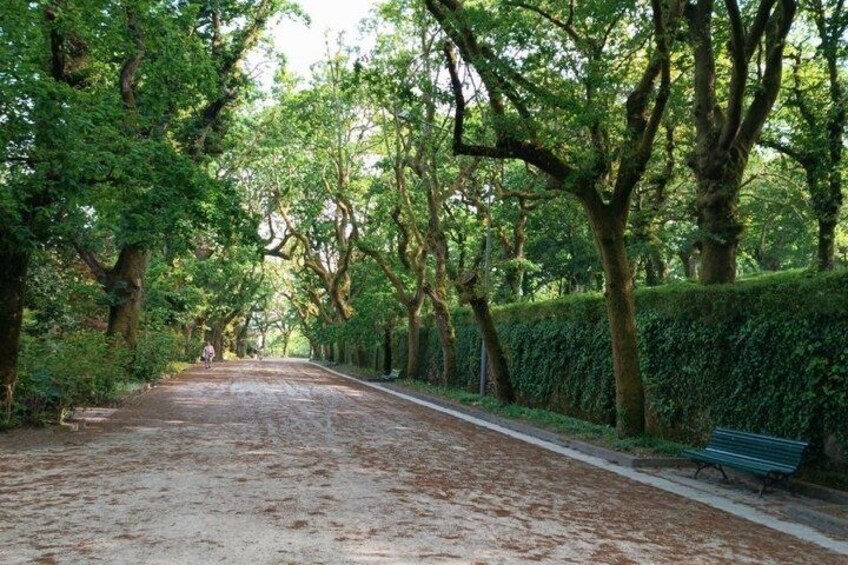 Private Walking Tour of Santiago de Compostela in Russian 3