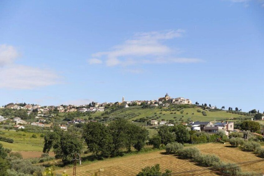 Tasting with visit of the winery and vineyards in Abruzzo 5