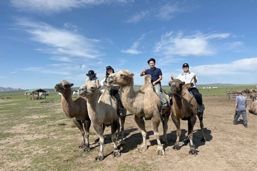 Four camels with riders in a grassy field. 3