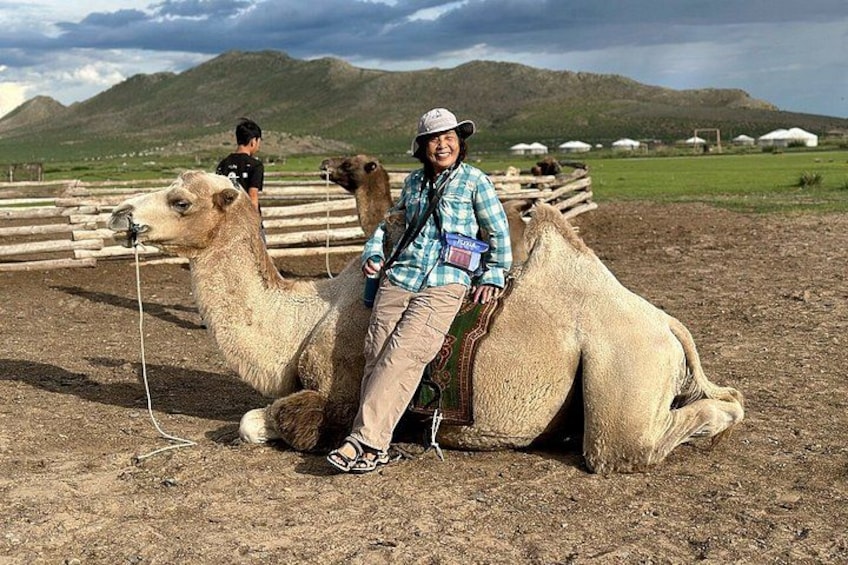 A person riding a camel in a fenced area with hills in the background. 5