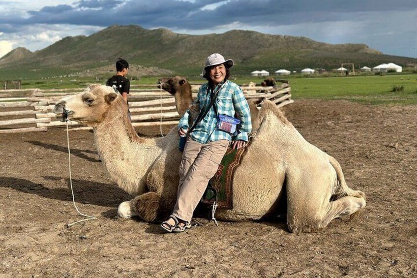 A person sitting on a camel in a fenced area with mountains in the background. 5
