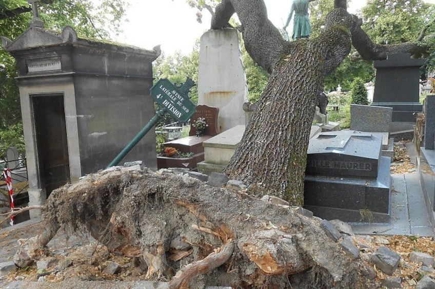 A gravestone with a large tree growing over it, a tombstone, and a sign with text. 2