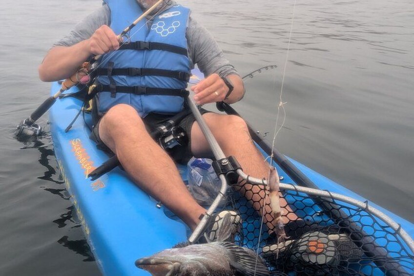 Kayak Fishing in Pismo Beach 4