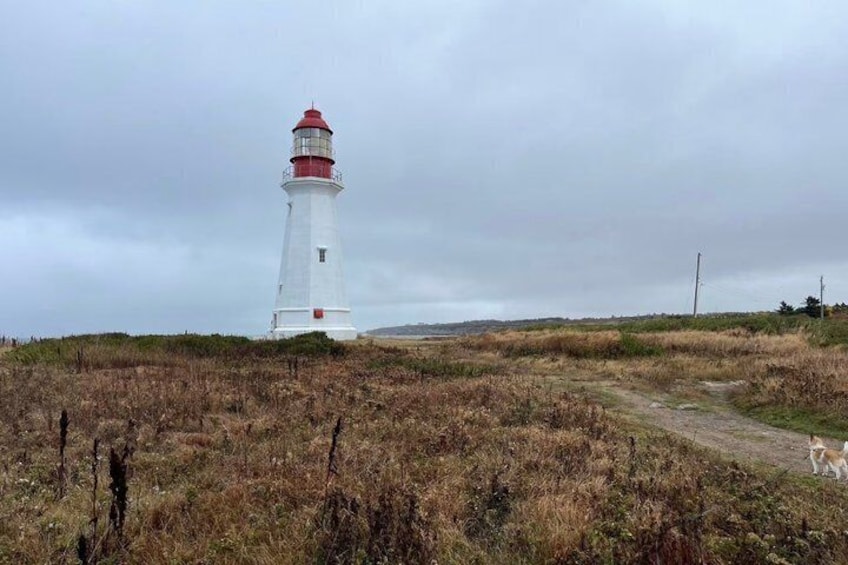 Customizable Luxury Cape Breton Tour 5
