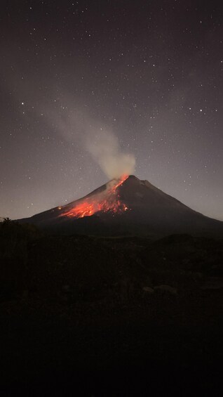 Picture 3 for Activity Yogyakarta Merapi Secret Coffee Tour. Active Volcano Views 2